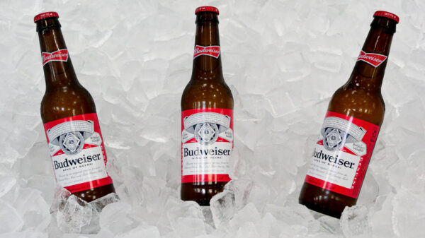 Budwiser beer with ice