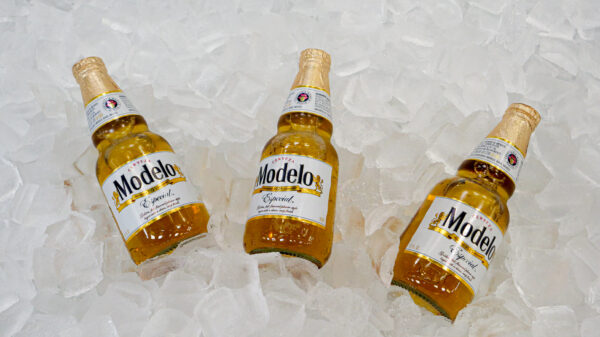 Modelos In Ice