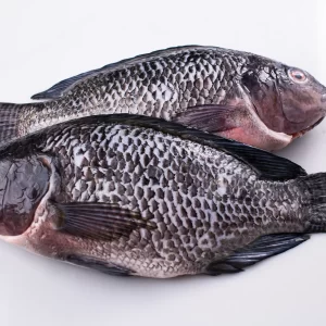 Mojarra Tilapia